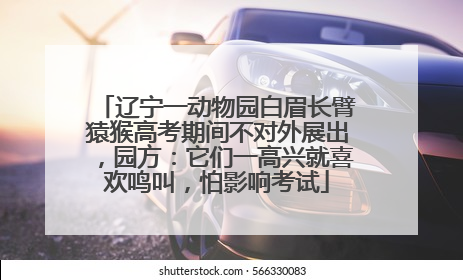 辽宁一动物园白眉长臂猿猴高考期间不对外展出，园方：它们一高兴就喜欢鸣叫，怕影响考试