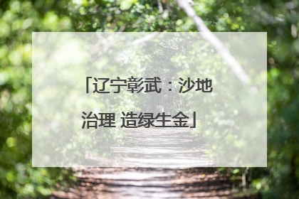 辽宁彰武：沙地治理 造绿生金