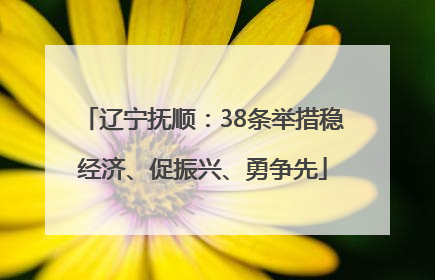 辽宁抚顺：38条举措稳经济、促振兴、勇争先