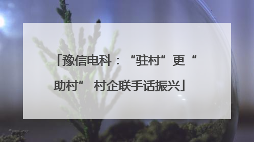 豫信电科：“驻村”更“助村” 村企联手话振兴