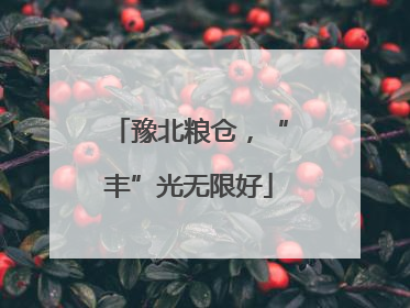 豫北粮仓，“丰”光无限好