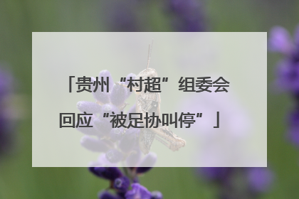 贵州“村超”组委会回应“被足协叫停”
