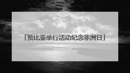 赞比亚举行活动纪念非洲日