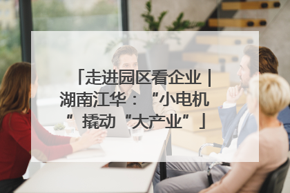 走进园区看企业｜湖南江华：“小电机”撬动“大产业”