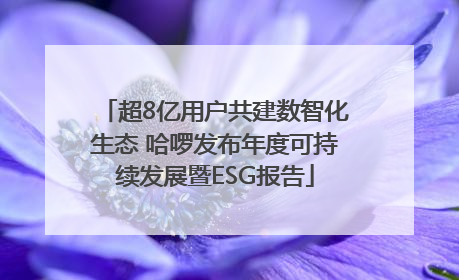 超8亿用户共建数智化生态 哈啰发布年度可持续发展暨ESG报告