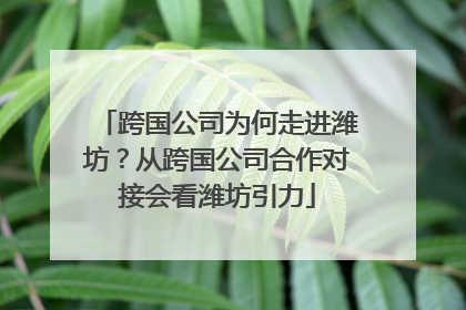 跨国公司为何走进潍坊？从跨国公司合作对接会看潍坊引力