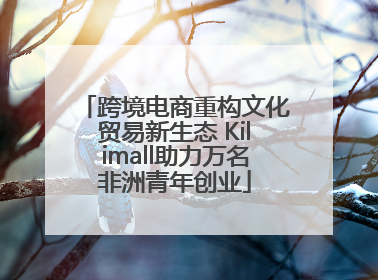 跨境电商重构文化贸易新生态 Kilimall助力万名非洲青年创业