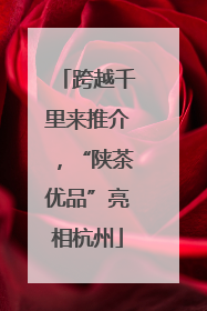 跨越千里来推介，“陕茶优品”亮相杭州