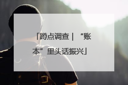 蹲点调查｜“账本”里头话振兴
