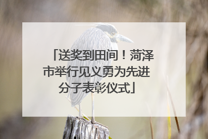 送奖到田间!菏泽市举行见义勇为先进分子表彰仪式