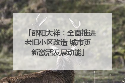 邵阳大祥：全面推进老旧小区改造 城市更新激活发展动能