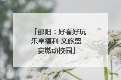 邵阳：好看好玩乐享福利 文旅盛宴燃动校园