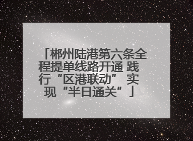 郴州陆港第六条全程提单线路开通 践行“区港联动” 实现“半日通关”