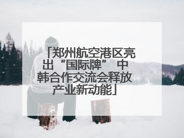 郑州航空港区亮出“国际牌” 中韩合作交流会释放产业新动能