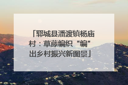郓城县潘渡镇杨庙村：草藤编织“编”出乡村振兴新图景