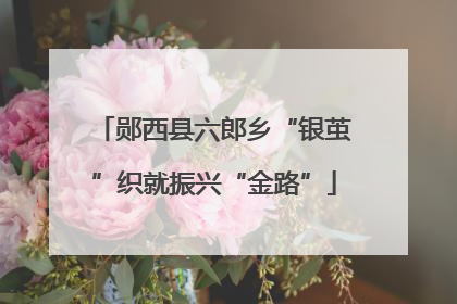 郧西县六郎乡“银茧”织就振兴“金路”
