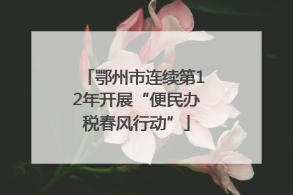 鄂州市连续第12年开展“便民办税春风行动”