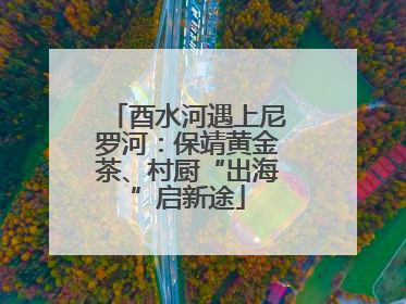 酉水河遇上尼罗河：保靖黄金茶、村厨“出海”启新途