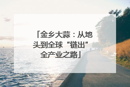金乡大蒜：从地头到全球“链出”全产业之路