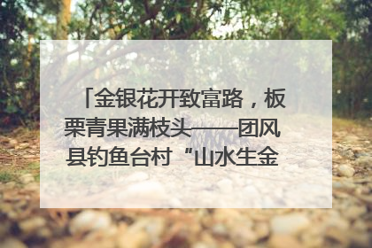 金银花开致富路，板栗青果满枝头——团风县钓鱼台村“山水生金”谱写共富新篇章