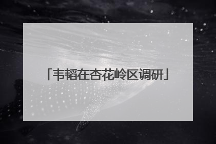 韦韬在杏花岭区调研