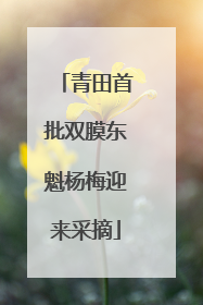 青田首批双膜东魁杨梅迎来采摘