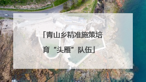 青山乡精准施策培育“头雁”队伍