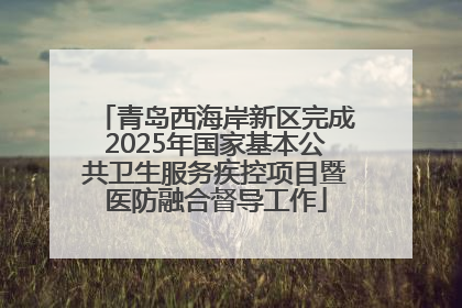 青岛西海岸新区完成2025年国家基本公共卫生服务疾控项目暨医防融合督导工作
