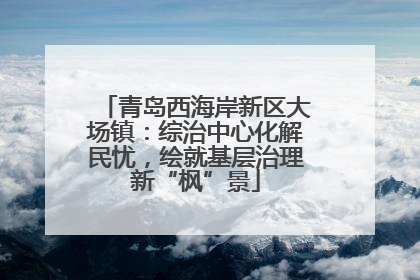 青岛西海岸新区大场镇：综治中心化解民忧，绘就基层治理新“枫”景