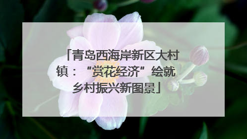 青岛西海岸新区大村镇：“赏花经济”绘就乡村振兴新图景