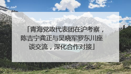 青海党政代表团在沪考察，陈吉宁龚正与吴晓军罗东川座谈交流，深化合作对接