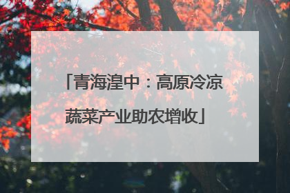 青海湟中：高原冷凉蔬菜产业助农增收