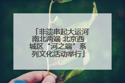 非遗串起大运河南北两端 北京西城区“河之端”系列文化活动举行
