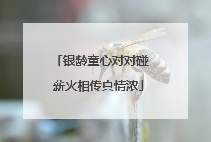 银龄童心对对碰 薪火相传真情浓