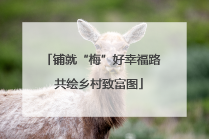 铺就“梅”好幸福路 共绘乡村致富图