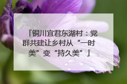 铜川宜君东湖村：党群共建让乡村从“一时美”变“持久美”