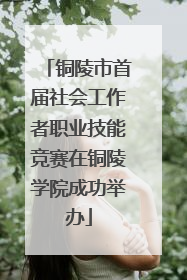 铜陵市首届社会工作者职业技能竞赛在铜陵学院成功举办