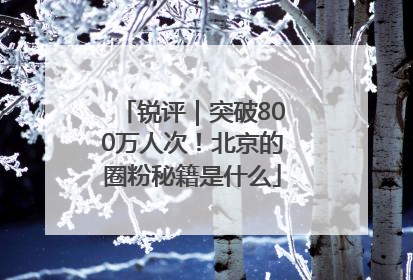 锐评｜突破800万人次！北京的圈粉秘籍是什么