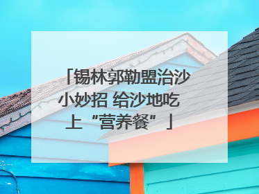 锡林郭勒盟治沙小妙招 给沙地吃上“营养餐”