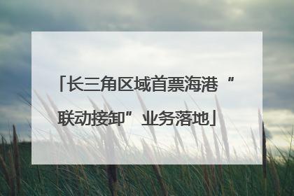 长三角区域首票海港“联动接卸”业务落地