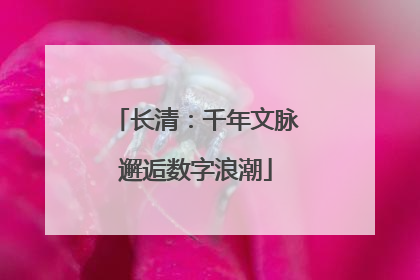 长清：千年文脉邂逅数字浪潮