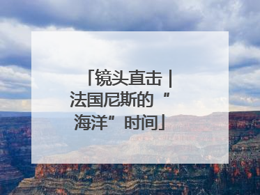 镜头直击｜法国尼斯的“海洋”时间