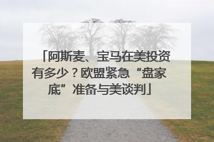 阿斯麦、宝马在美投资有多少？欧盟紧急“盘家底”准备与美谈判