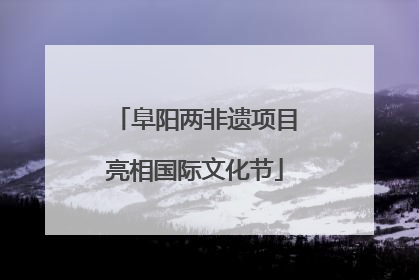 阜阳两非遗项目亮相国际文化节