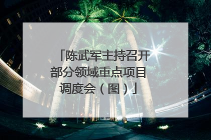 陈武军主持召开部分领域重点项目调度会（图）