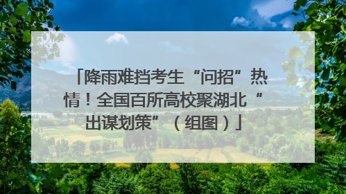 降雨难挡考生“问招”热情！全国百所高校聚湖北“出谋划策”（组图）