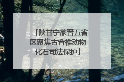 陕甘宁蒙晋五省区聚焦古脊椎动物化石司法保护
