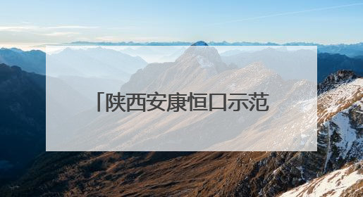 陕西安康恒口示范区教体局：以系统思维推动青少年体育工作高质量发展