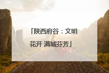 陕西府谷：文明花开 满城芬芳