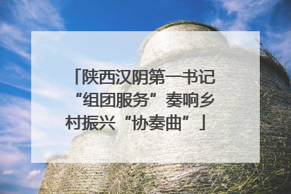 陕西汉阴第一书记“组团服务”奏响乡村振兴“协奏曲”